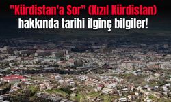 "Kürdistan'a Sor" "Kızıl Kürdistan" hakkında duymadığınız tarihi ilginç bilgiler! ANALİZ HABER