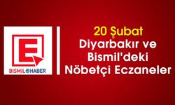 20 Şubat Diyarbakır ve Bismil'deki Nöbetçi Eczaneler