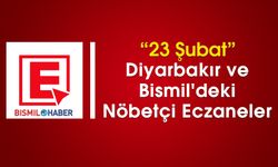 23 Şubat Diyarbakır ve Bismil'deki Nöbetçi Eczaneler
