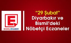 29 Şubat Diyarbakır ve Bismil'deki Nöbetçi Eczaneler