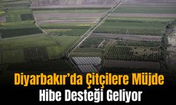 Diyarbakır’da Çitçilere Müjde: Hibe Desteği Geliyor