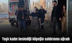 Diyarbakır’da yaşlı kadın beslediği köpeklerin saldırısına uğradı