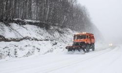 Kar Engeli Kalkıyor: 47 Köy Yolu Ulaşıma açıldı!