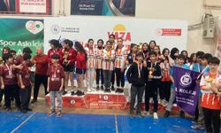 Okullar Arası Yıldızlar Badminton Diyarbakır il Birinciliği Bitlis ilinde grup müsabakalarına katılacak.