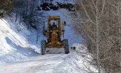 Kar Yağışı O illeri Vurdu! 35 köy yolunda ulaşım kapalı
