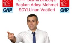 Bismil Belediye Başkan Adayı Mehmet Soylu projeleri