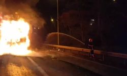 Adana'da kimyasal madde yüklü tır alev alev yandı