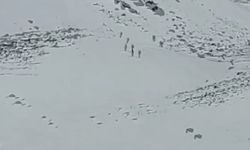 Alman dağcılar Ağrı Dağı'nın zirvesinde kayak yaptı