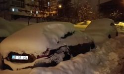 Bitlis’te evler ve araçlar kar altında kayboldu