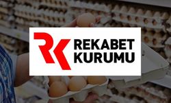 Yumurta Kartonu Üreten 6 Firmaya Rekor Ceza!