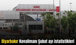Diyarbakır Havalimanı kaç kişiye hizmet verdi?