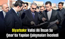 Diyarbakır Valisi Ali İhsan Su, Çınar'da Yapılan Çalışmaları İnceledi