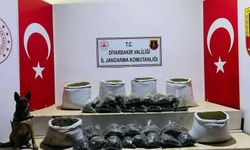 Diyarbakır'da 226 kilo esrar ele geçirildi