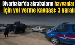 Diyarbakır’da hayvanlara yol verme kavgası: 3 yaralı
