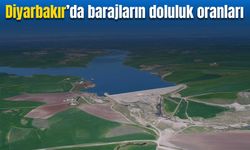 DSİ Diyarbakır'daki barajların doluluk oranlarını açıkladı