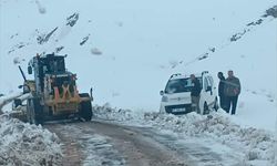 Siirt'te 2 araç karda mahsur kaldı