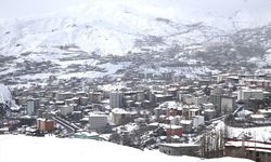Van, Hakkari ve Bitlis'te Kar Felaketi: 393 Köye Ulaşım Yok!