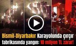 Diyarbakır’da çırçır fabrikasında yıldırım düşmesi sonucu yangın çıktı