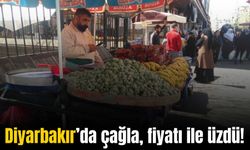 Diyarbakır’da çağla tezgahlara indi: Fiyatı üzdü