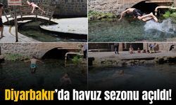 Diyarbakır’da Anzele sezonu erken açıldı