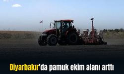 Diyarbakır'da pamuk ekim alanı arttı