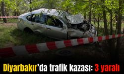 Diyarbakır'da takla atan otomobilde 3 kişi yaralandı