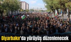 Diyarbakır'da yarın yürüyüş düzenlenecek