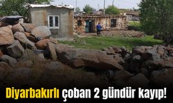 Diyarbakır’da kayıp olan çoban için tüm ekipler seferber oldu