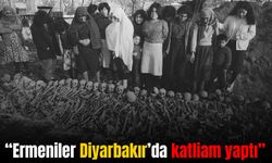 Tarihçi Bozan: “Ermeniler Diyarbakır’da katliam yaptı”