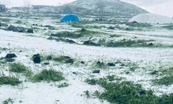 Şanlıurfa'da Dolu Felaketi: Ekili Araziler Zarar Gördü