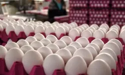 Yumurta fiyatları düşüşe geçti