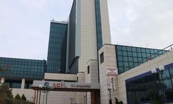 Bal arısı çiftçiyi komalık etti! İşte detaylar...
