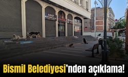 Bismil’de sokak hayvanları için flaş adım!