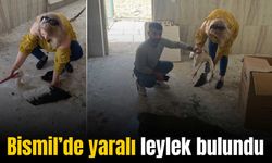 Bismil’de bulunan yaralı leylek koruma altına alındı