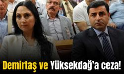 Kobane davası: Selahattin Demirtaş ve Figen Yüksekdağ’a hapis cezası!