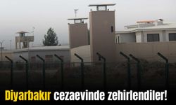 Diyarbakır cezaevinde mahkumlar ve personel zehirlendi