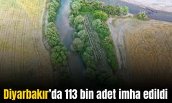 Diyarbakır’da 113 bin adet ele geçirildi