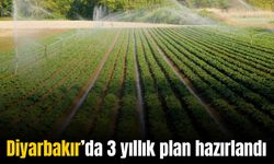 Diyarbakır’da 3 yıllık plan hazırlandı: Hedef üretimi artırmak