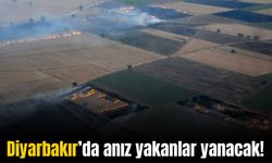 Diyarbakır’da anız yakanlara şok ceza!