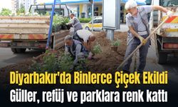 Diyarbakır'da Binlerce Çiçek Ekildi: Güller, refüj ve parklara renk kattı