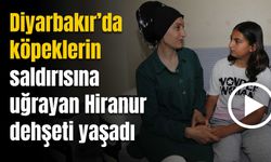 Diyarbakır’da köpeklerin saldırısına uğrayan Hiranur, dehşeti yaşadı