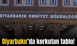 Diyarbakır’da korkutan tablo: Bir ayda 587 kişi uyuşturucudan yakalandı!