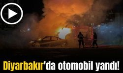 Diyarbakır'da park halindeki otomobil çıkan yangında kullanılamaz hale geldi