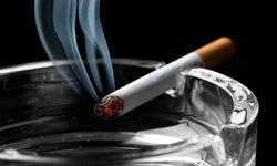 DSÖ: Yılda 8 milyon insan tütün kullanımı sebebiyle ölüyor
