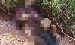 Kayıp vatandaşın cansız bedeni su kanalında bulundu