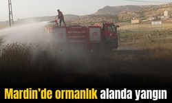 Mardin’de ormanlık alanda yangın çıktı