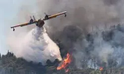 Orman yangını: 6 bin 600 kişi tahliye edildi