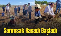 Adıyaman'da Sarımsak Hasadı Başladı