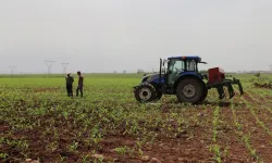 Tarımsal destekleme ödemeleri çiftçilerin hesabına aktarılıyor