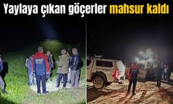 Koyun sağımı için yaylaya çıkan göçerler mahsur kaldı